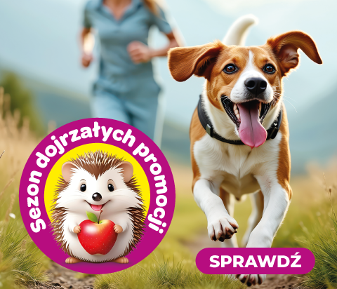 Sezon Dojrzałych Promocji w Kakadu Zoo - wrzesień 2025